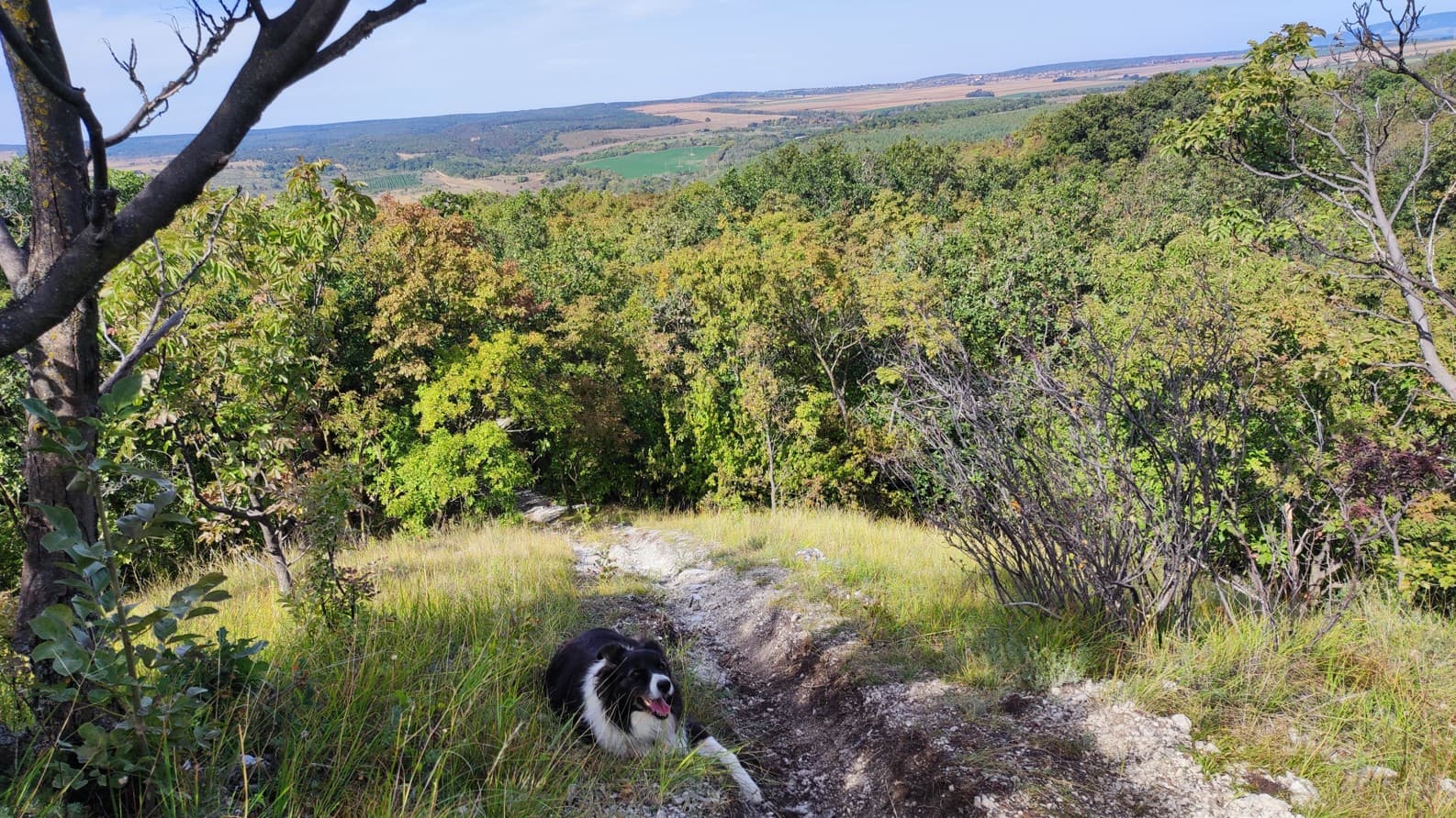 MEGHÍVÓ a VERGA Vadászterület tulajdonosi közösségének gyűlésére (2025.04.24, 8:00-9:00):